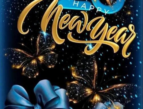 祝您在2025年新的一年里光辉灿烂，事业腾飞！ Happy New Year 2025!